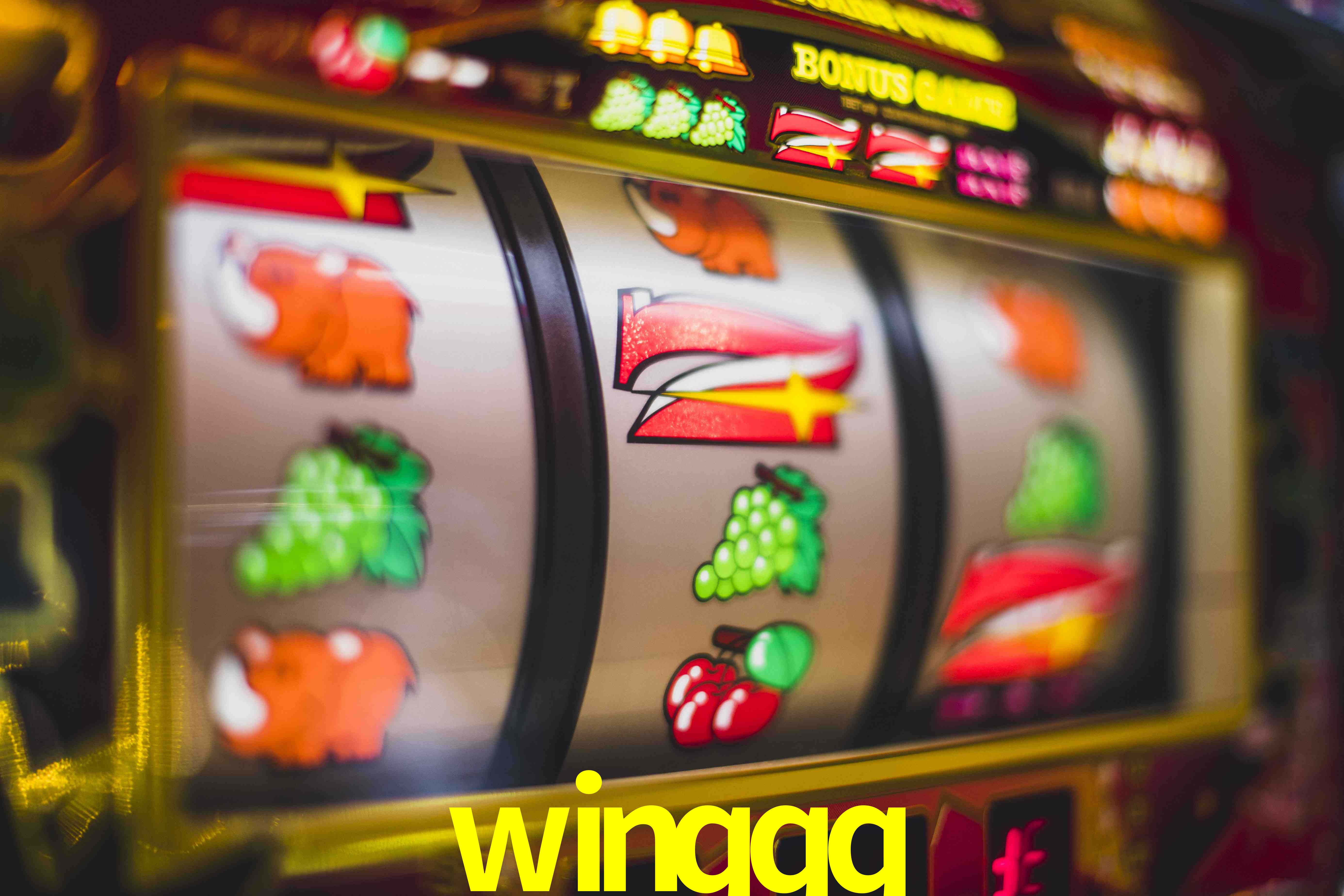 Tennis Betting winqqq